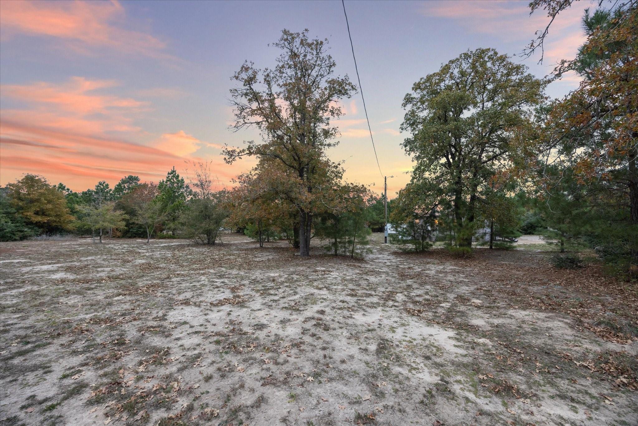 364 Ponderosa Loop Paige TX 78659