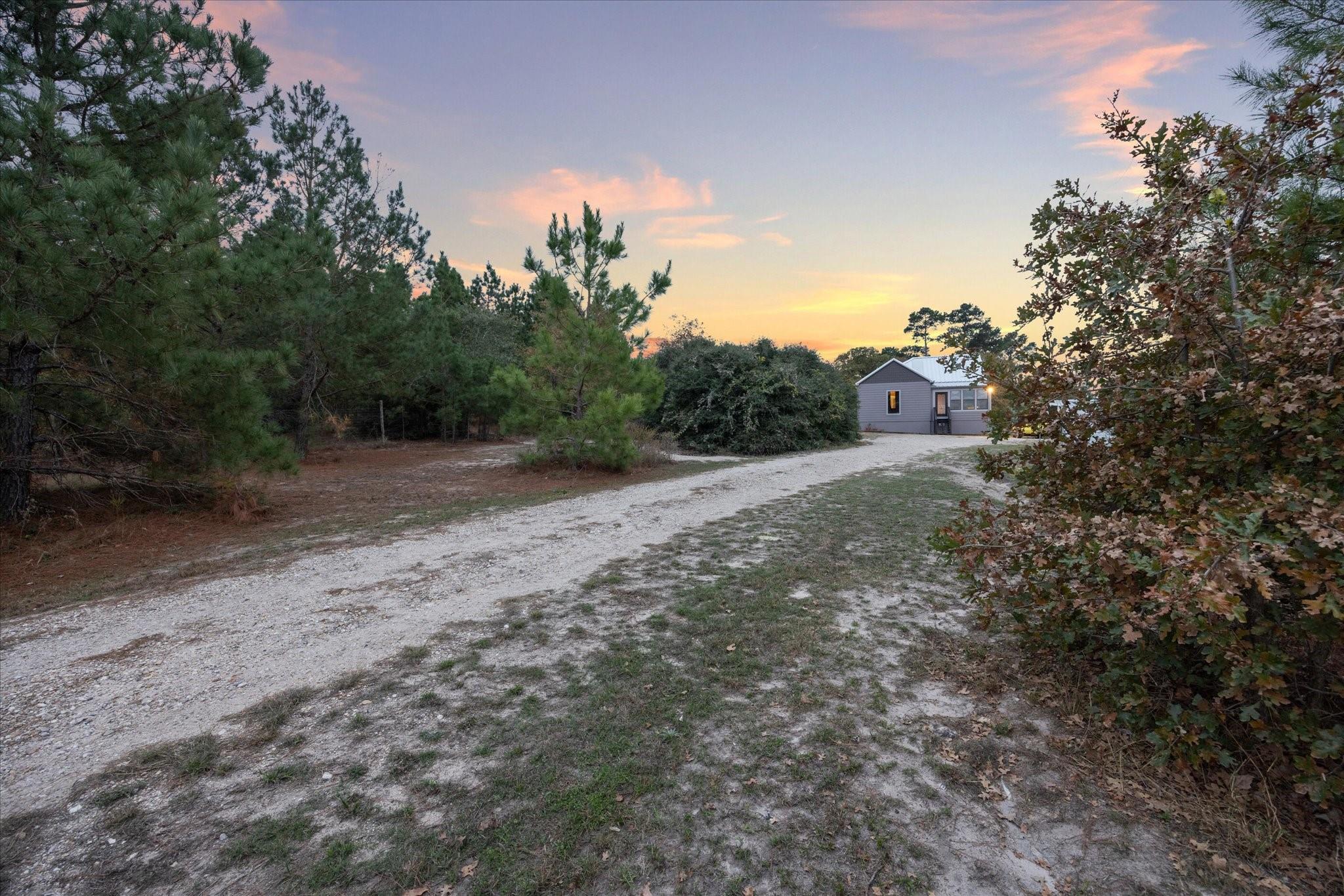 364 Ponderosa Loop Paige TX 78659