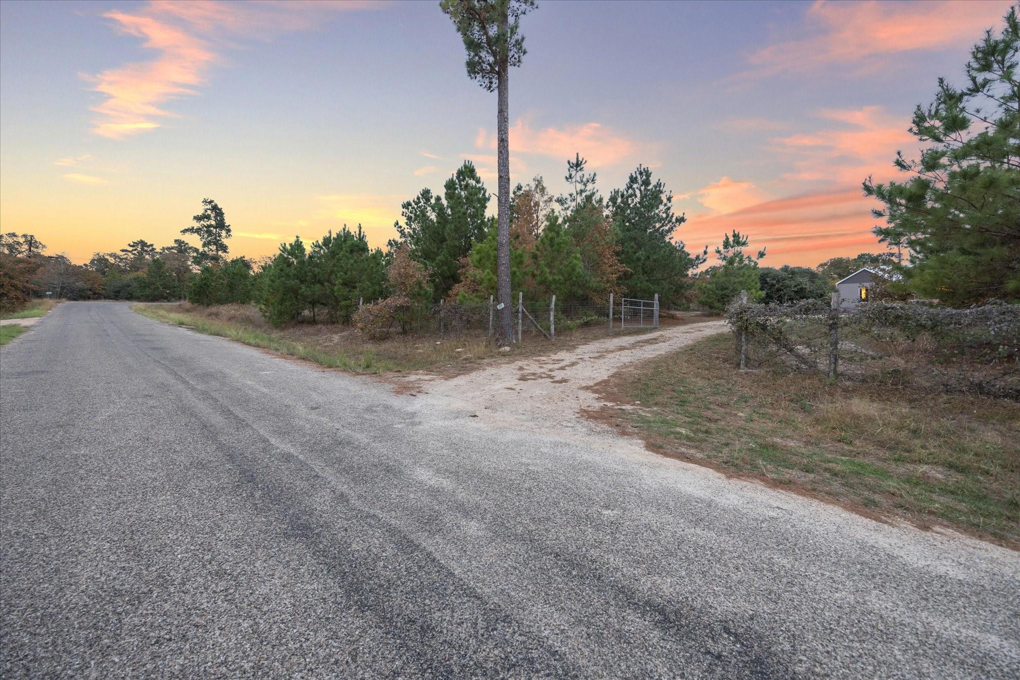 364 Ponderosa Loop Paige TX 78659
