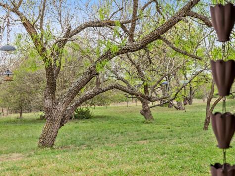 1503 Funf Kinder Road Fredericksburg TX 78624