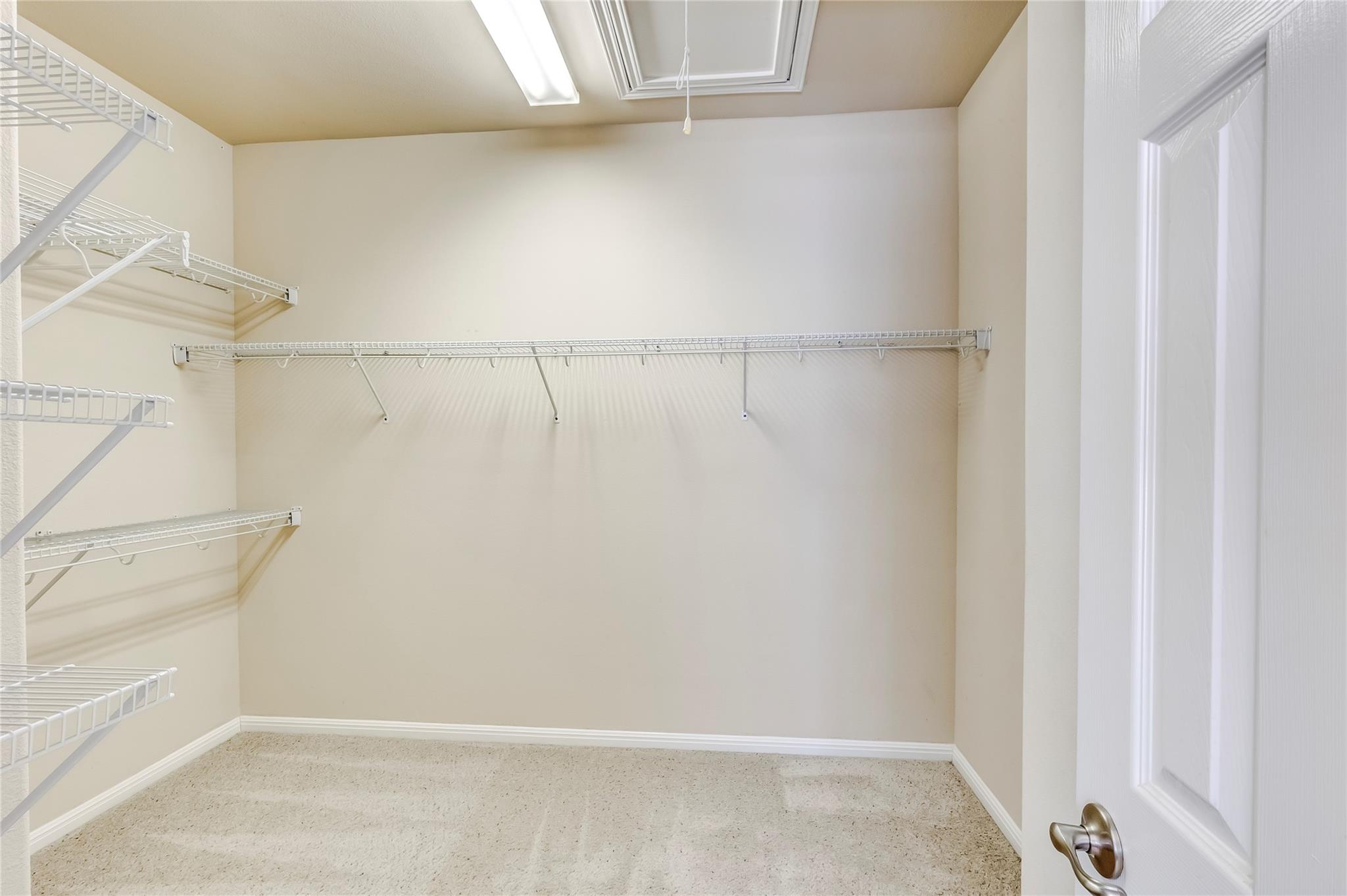 1533 Clary Sage Loop Round Rock TX 78665