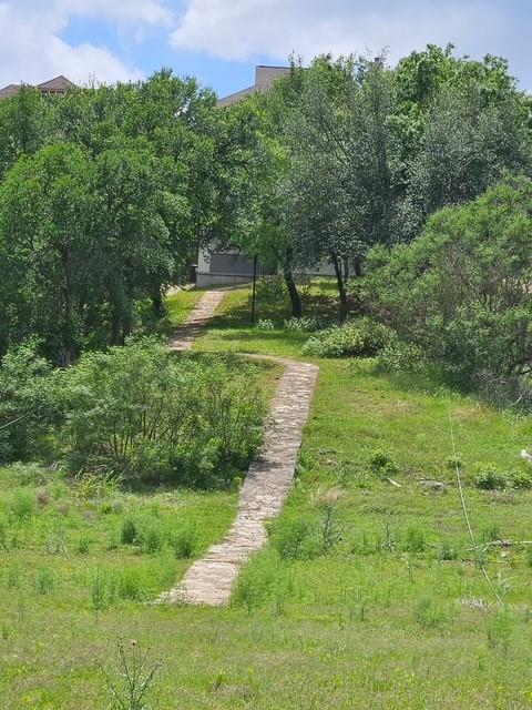 1231 Lake Shore Drive Spicewood TX 78669