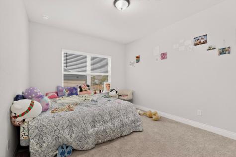 1304 Snowdrop Drive Georgetown TX 78628