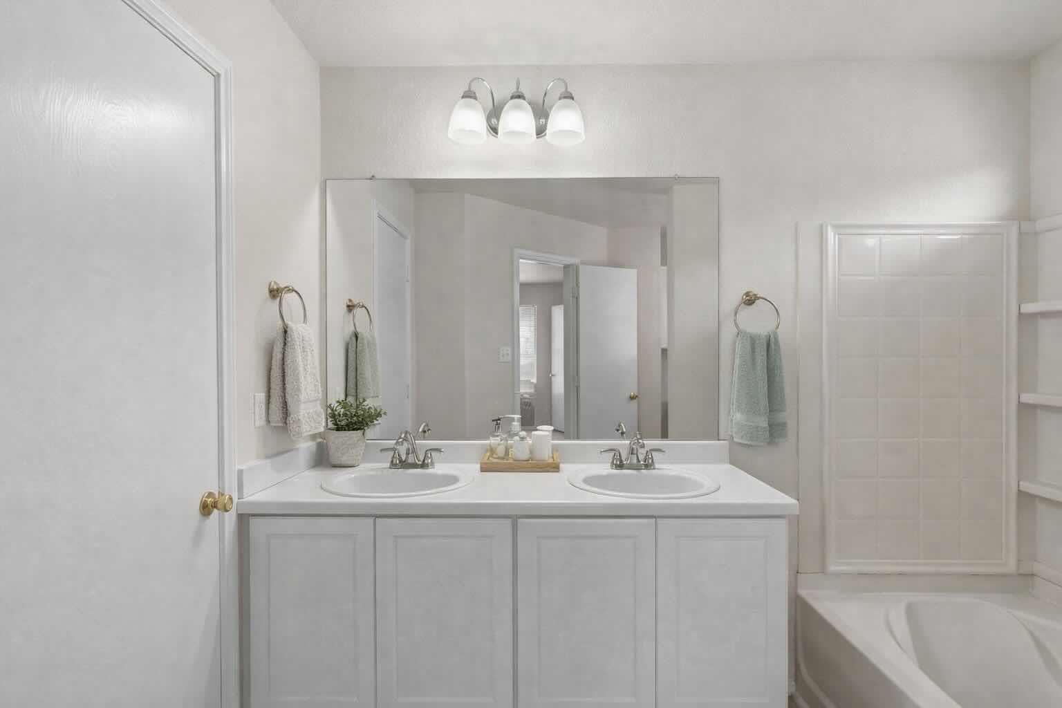 208 Dandelion Loop Kyle TX 78640