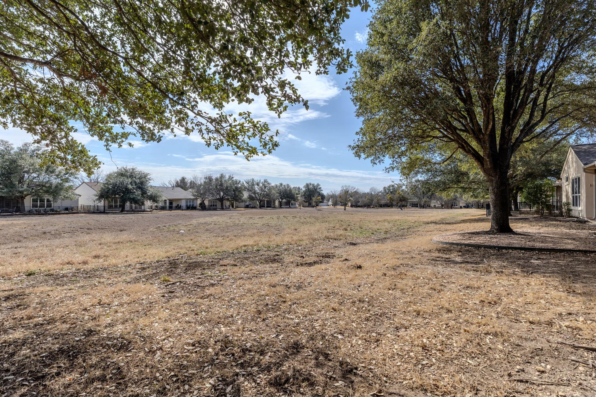 316 Crockett Loop Georgetown TX 78633