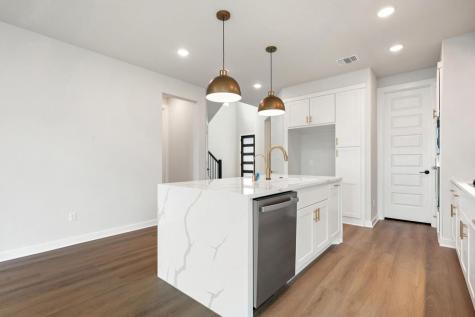 163 Great Sequoia Lane Dripping Springs TX 78620