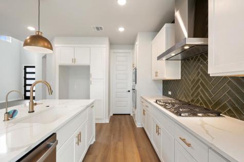 163 Great Sequoia Lane Dripping Springs TX 78620