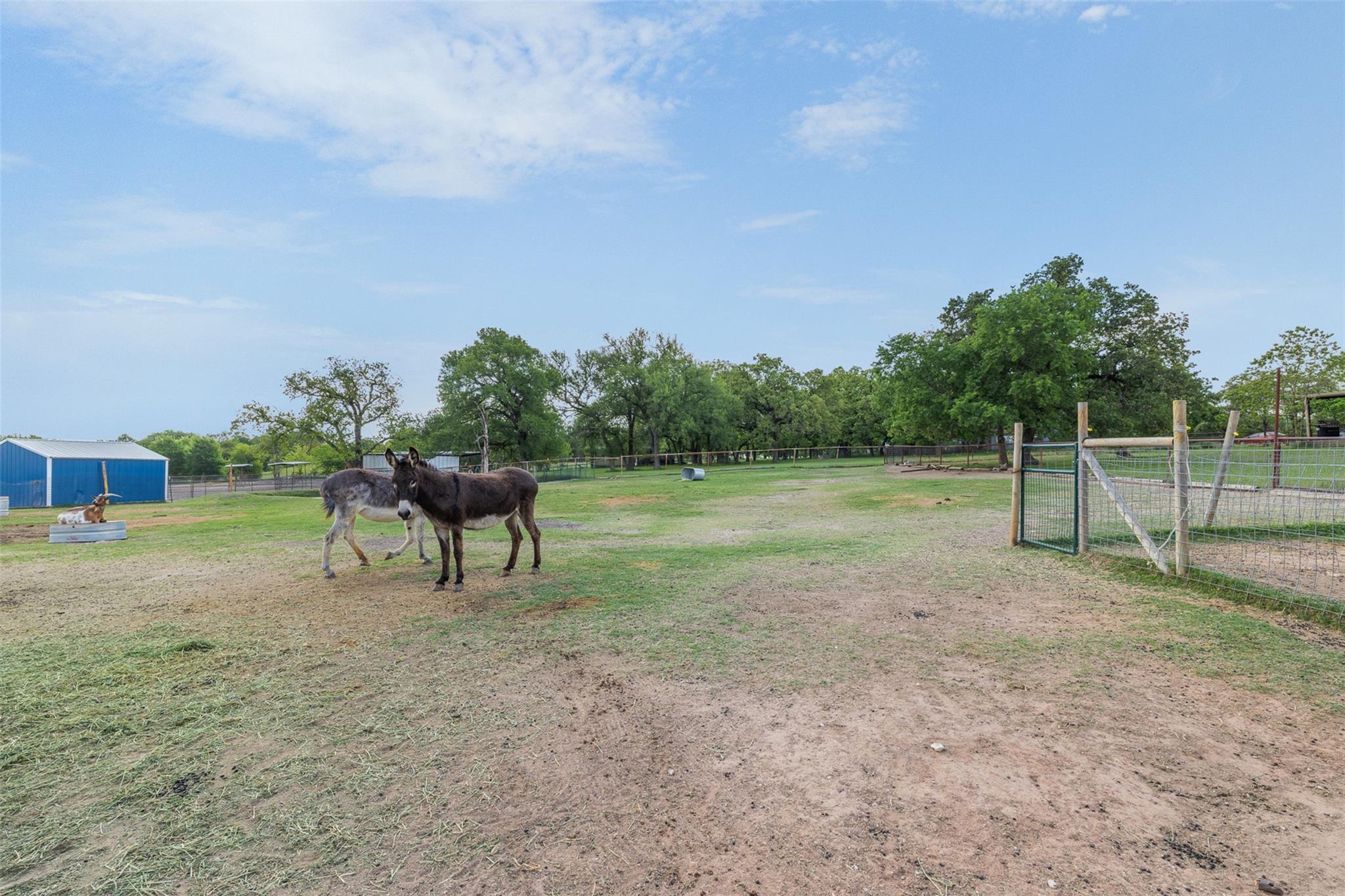 203 Saffle Road Waco TX 76706