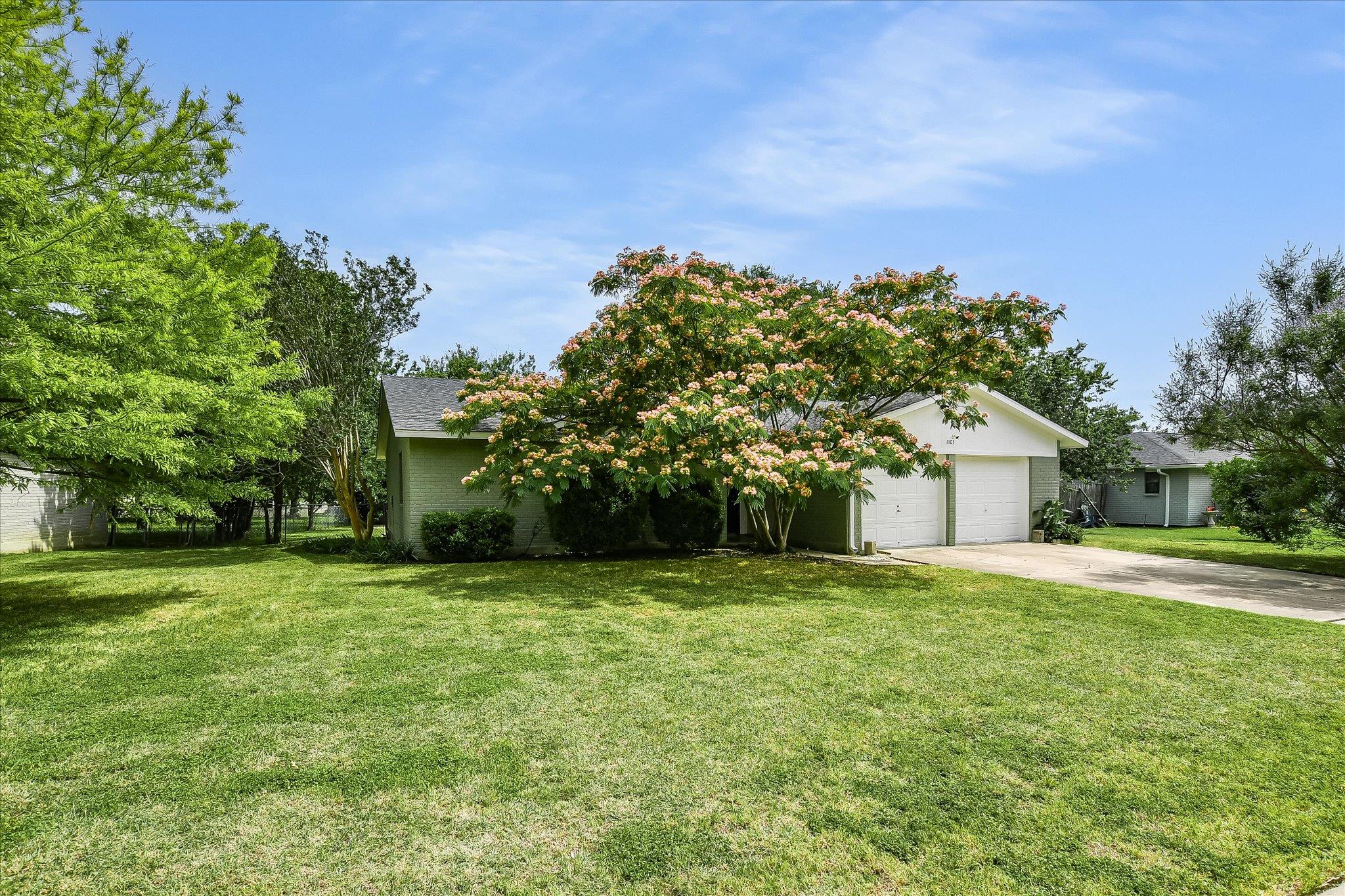 1103 Green Meadow Drive Round Rock TX 78664