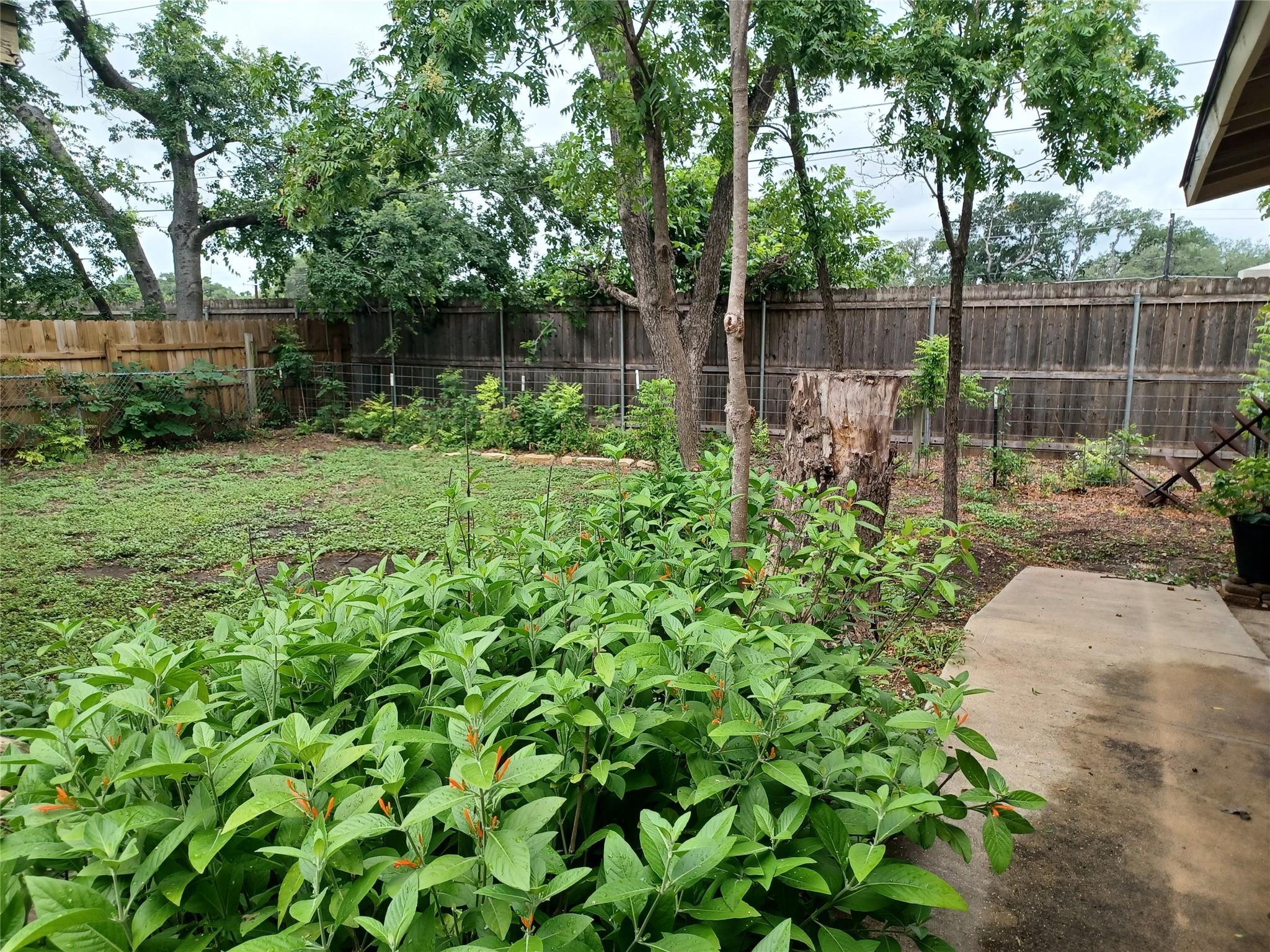 4906 Westfield Drive Austin TX 78731