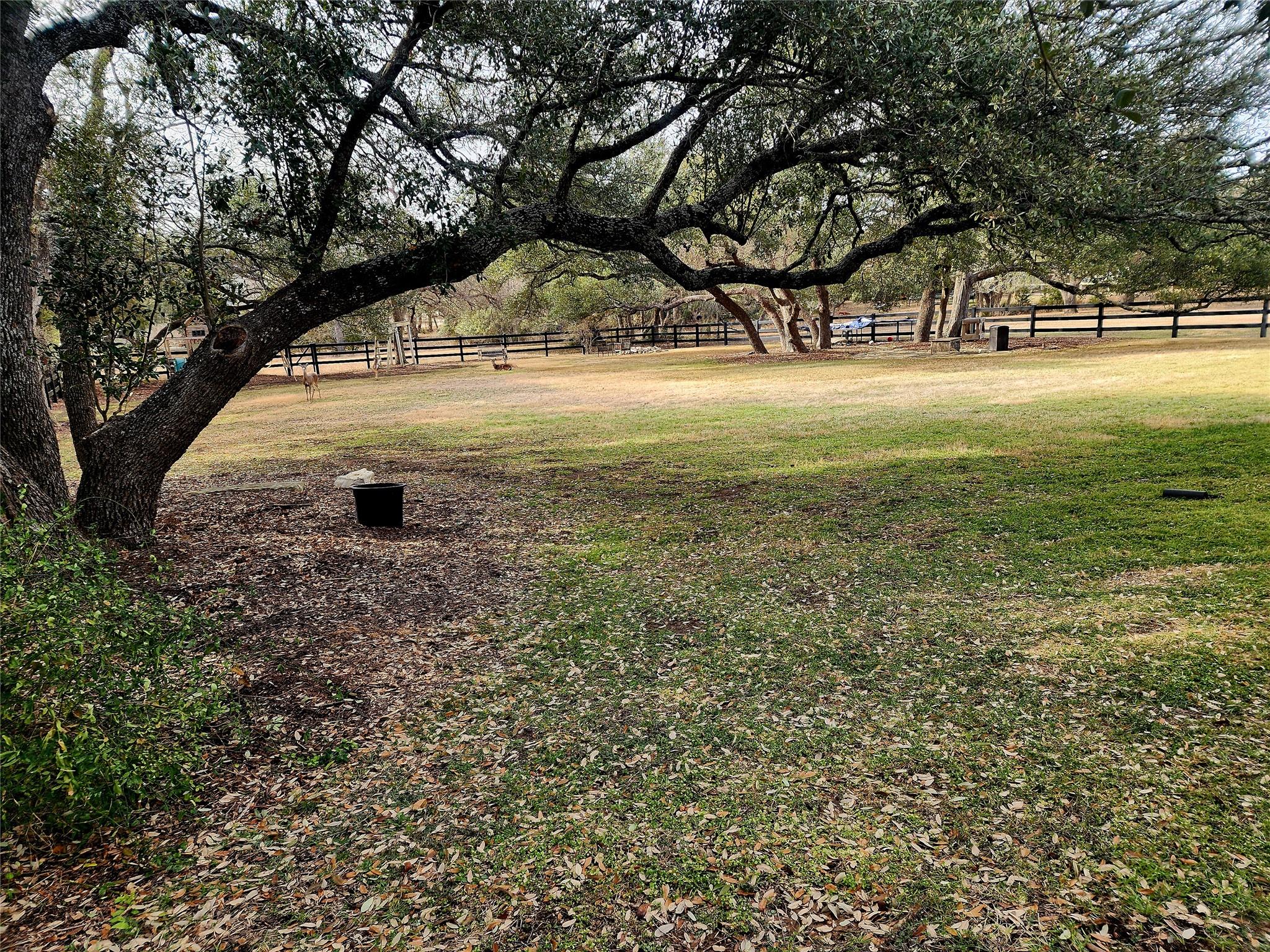 152 Silver Hawk Court Dripping Springs TX 78620