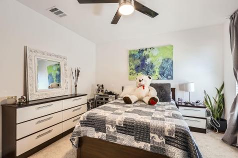1324 Salt Lick Drive Georgetown TX 78633