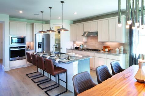 115 Cedro Bland Drive Liberty Hill TX 78642