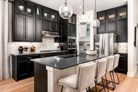 115 Cedro Bland Drive Liberty Hill TX 78642