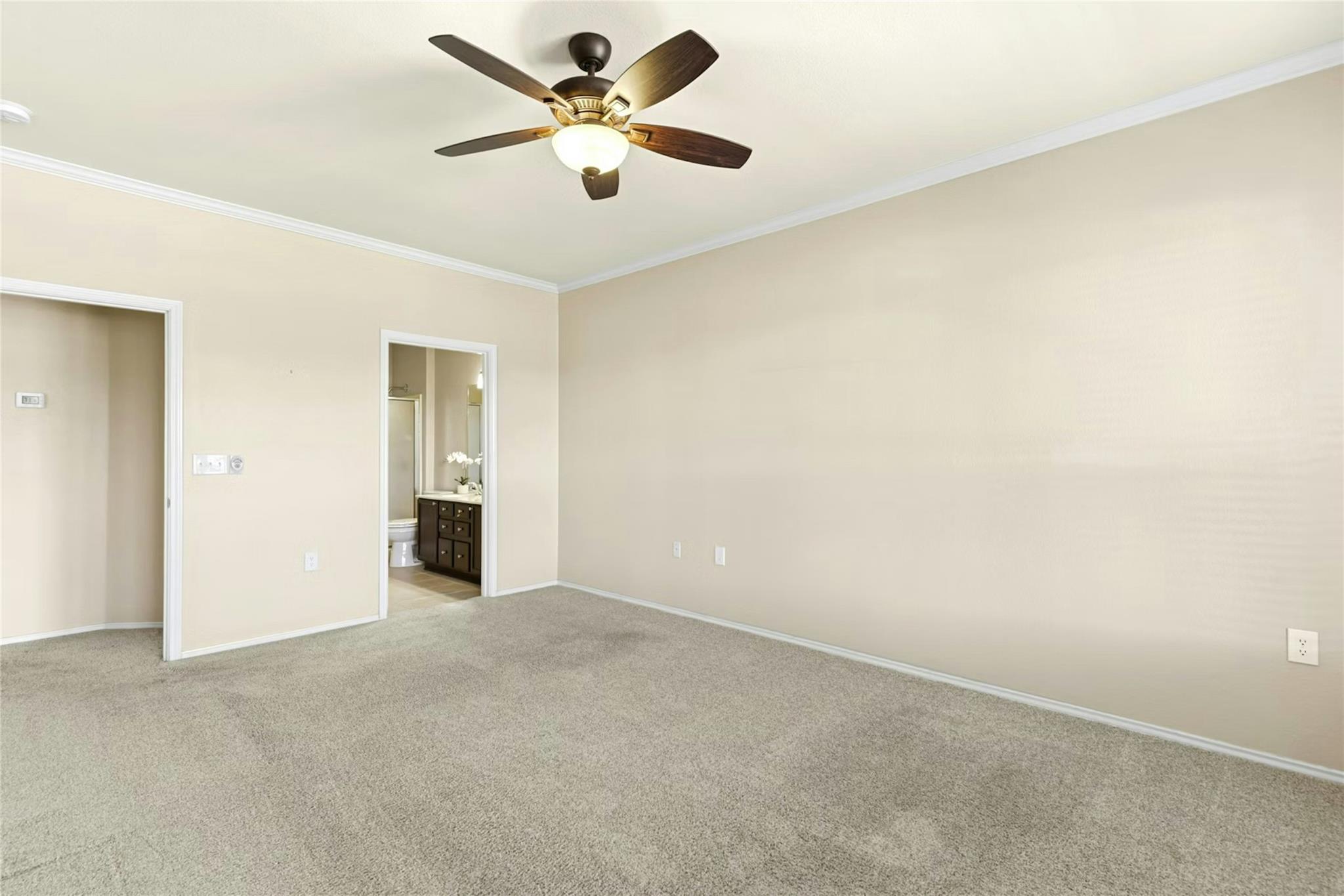 215 Bonham Loop Georgetown TX 78633