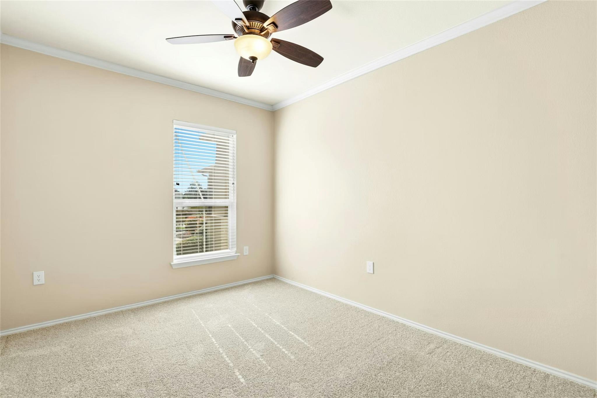 215 Bonham Loop Georgetown TX 78633