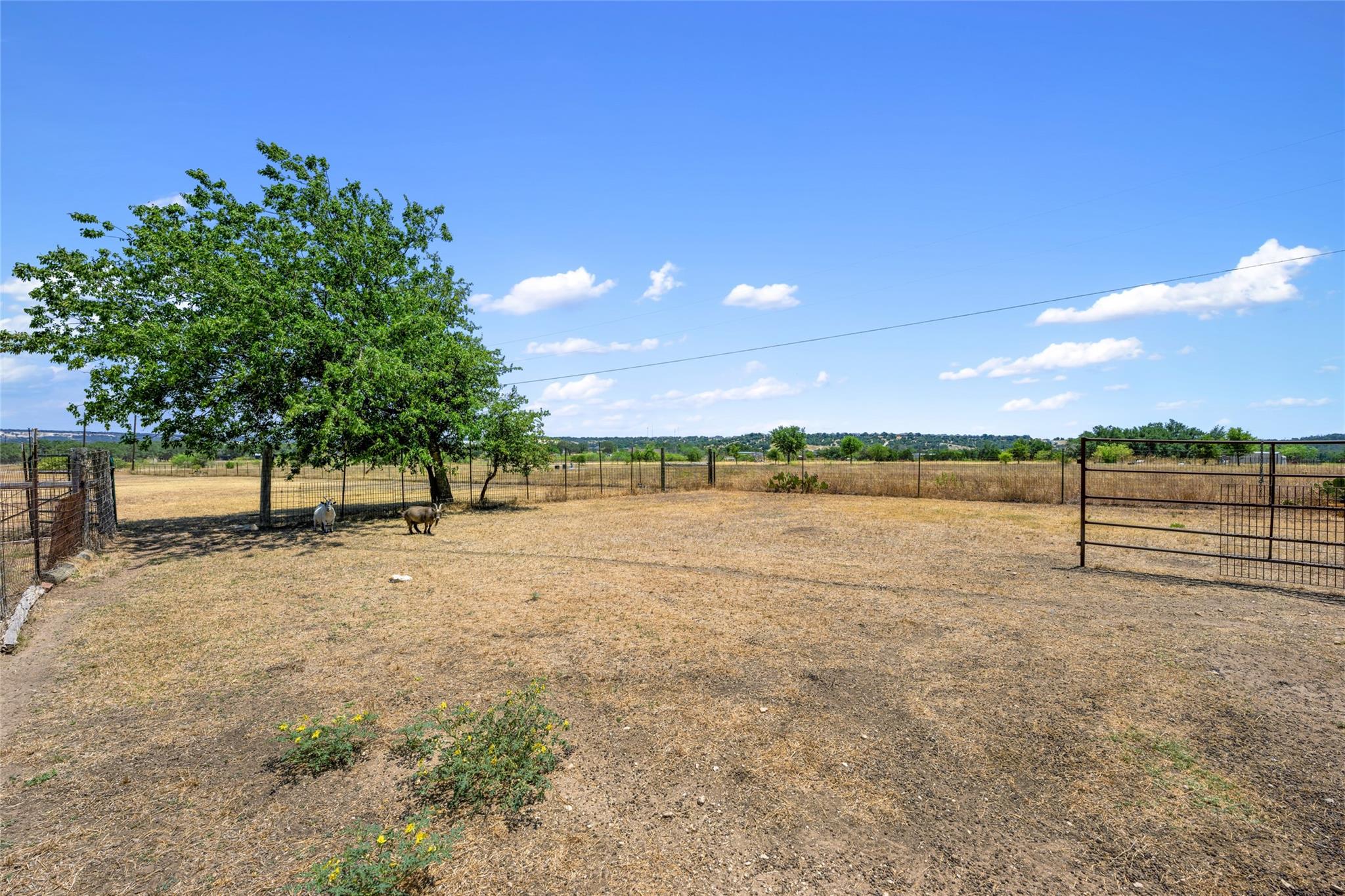 120 Craigen Road Liberty Hill TX 78642