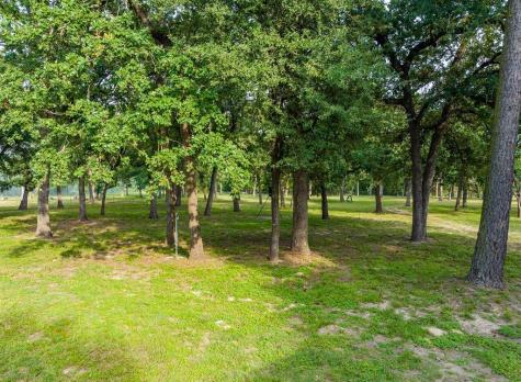 7338 Fm 1624 Lexington TX 78947