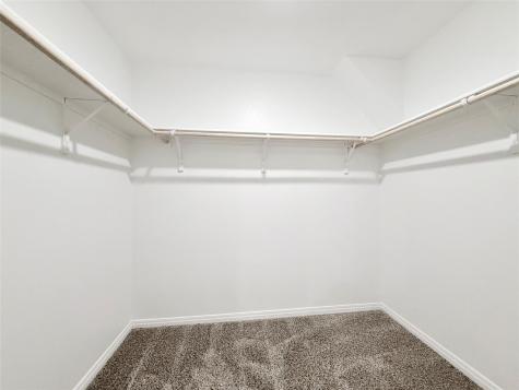 598 Gladiola Loop Kyle TX 78640