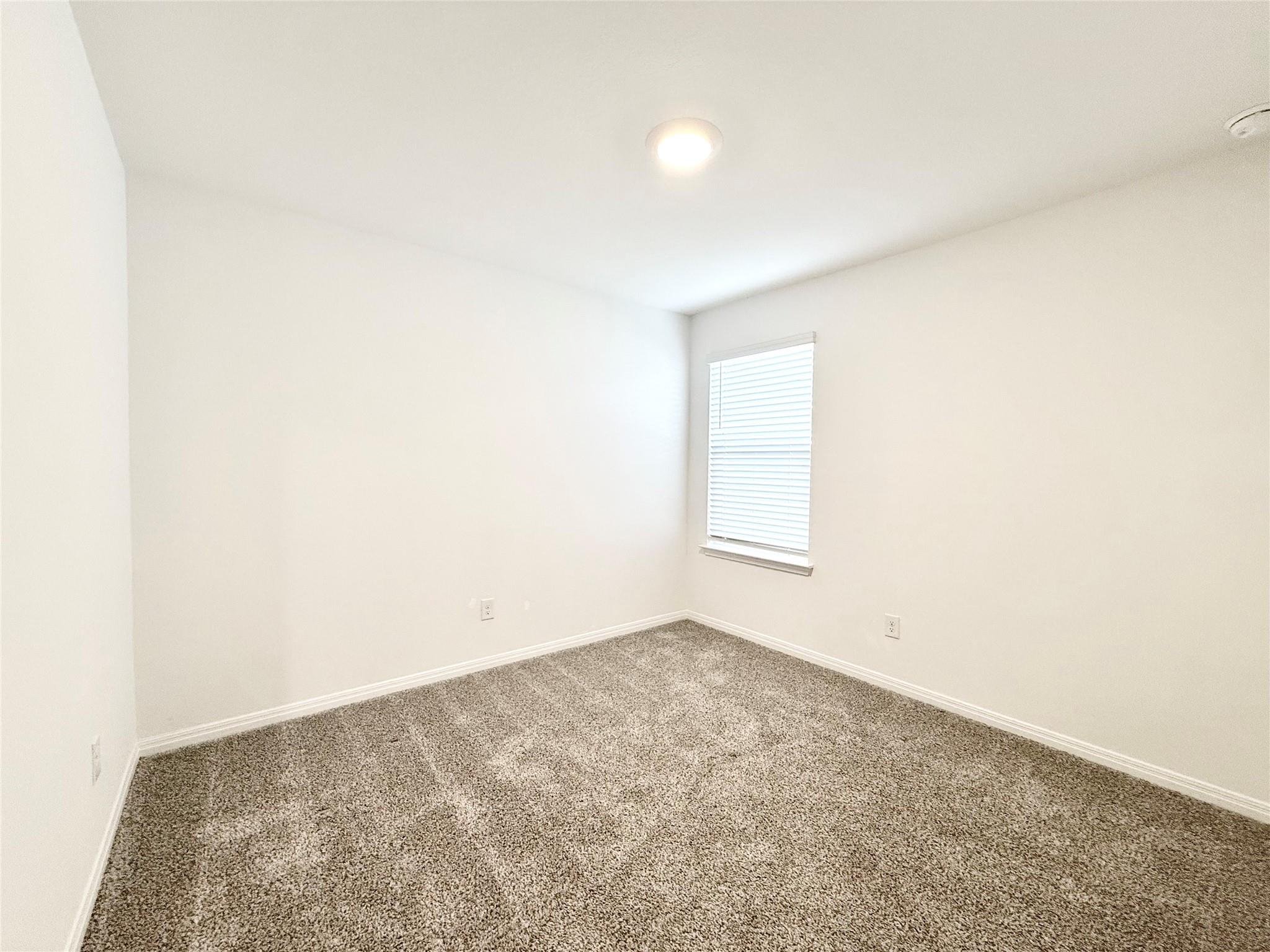 598 Gladiola Loop Kyle TX 78640