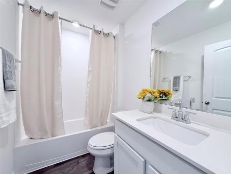 598 Gladiola Loop Kyle TX 78640