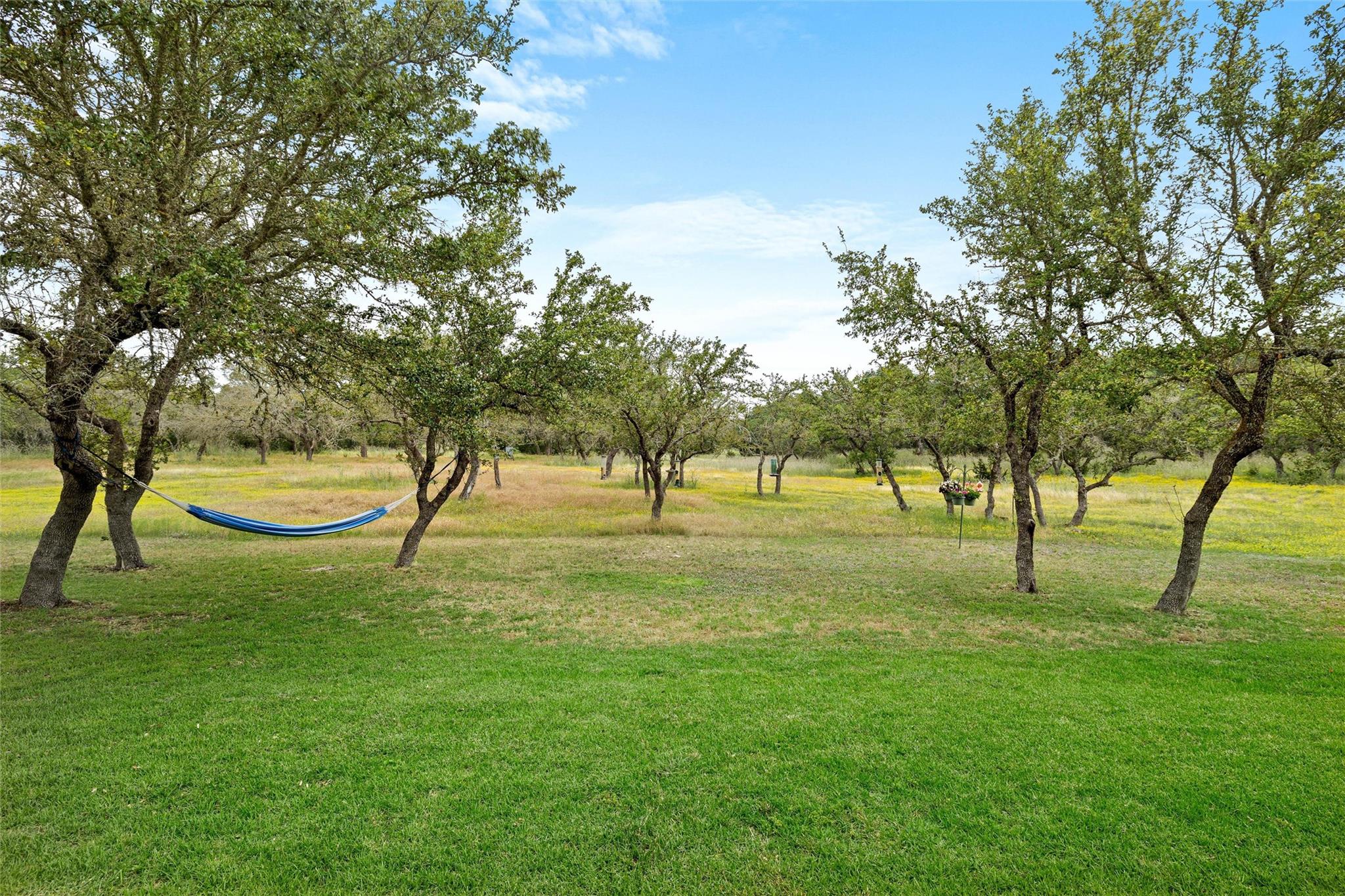 426 Preiss Ranch Road Blanco TX 78606