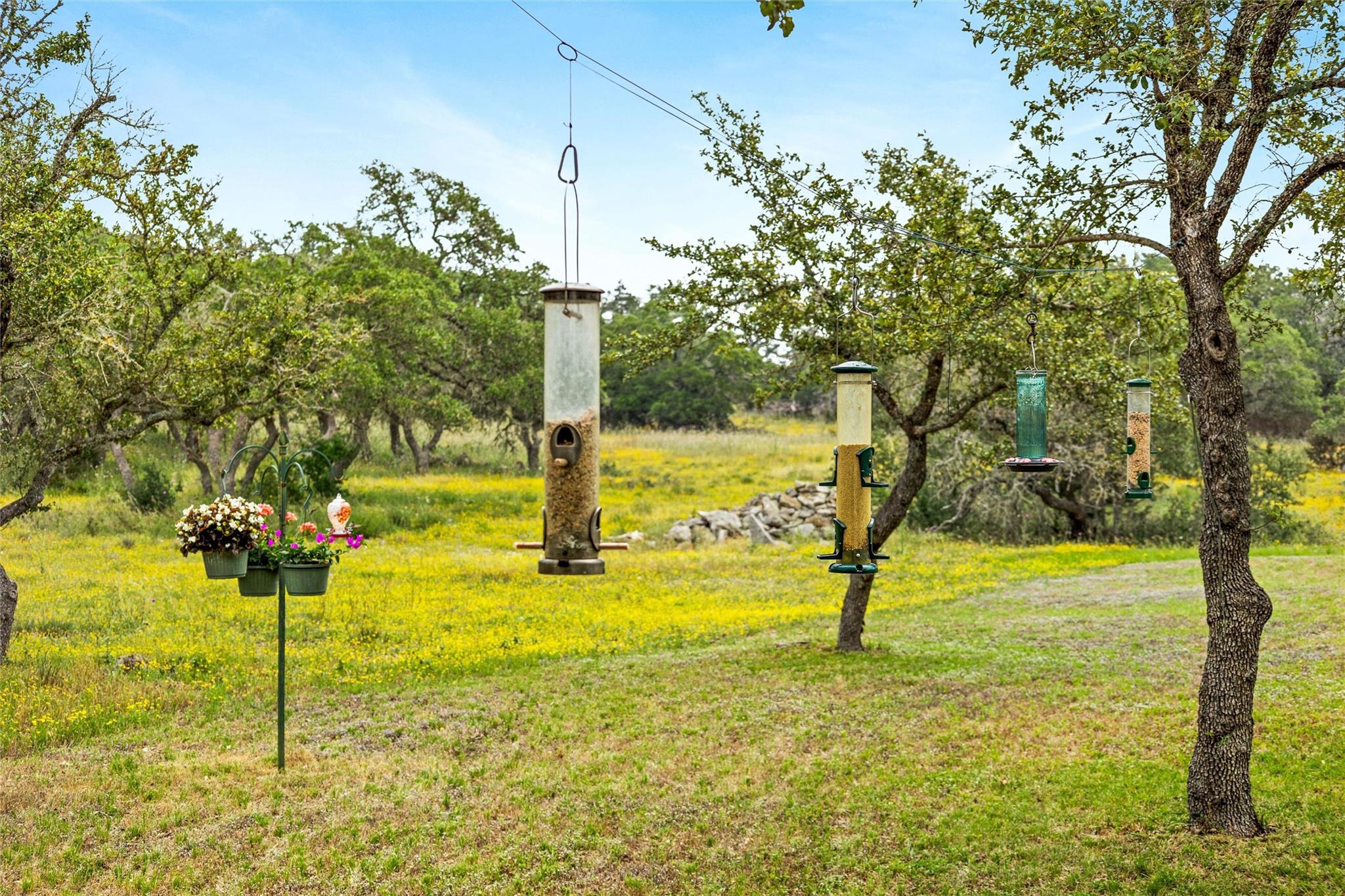 426 Preiss Ranch Road Blanco TX 78606