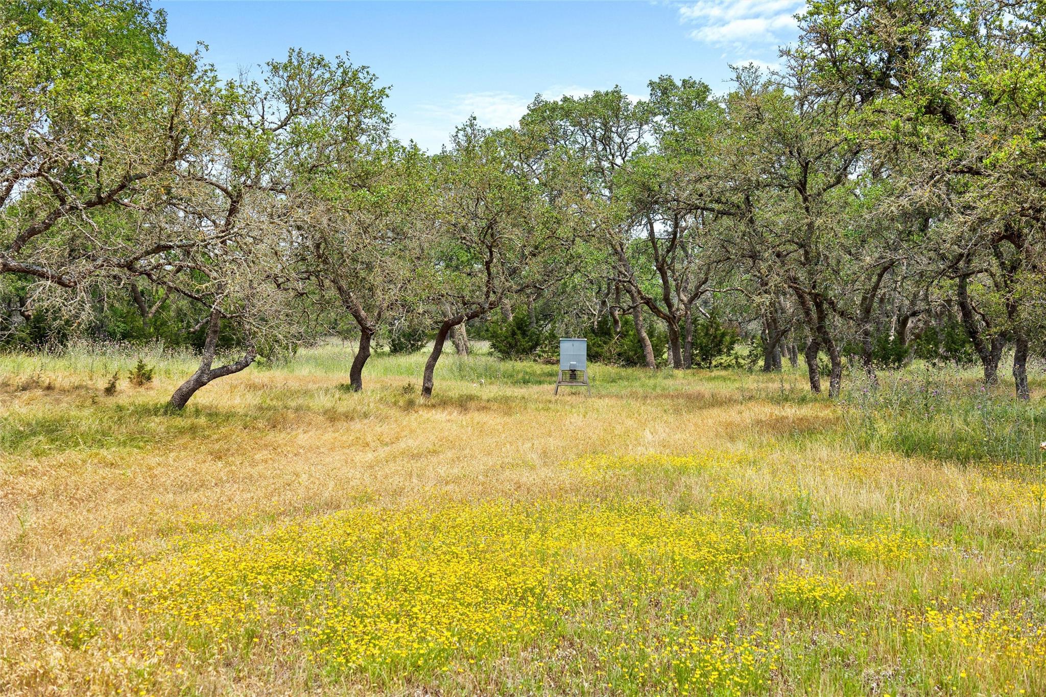 426 Preiss Ranch Road Blanco TX 78606