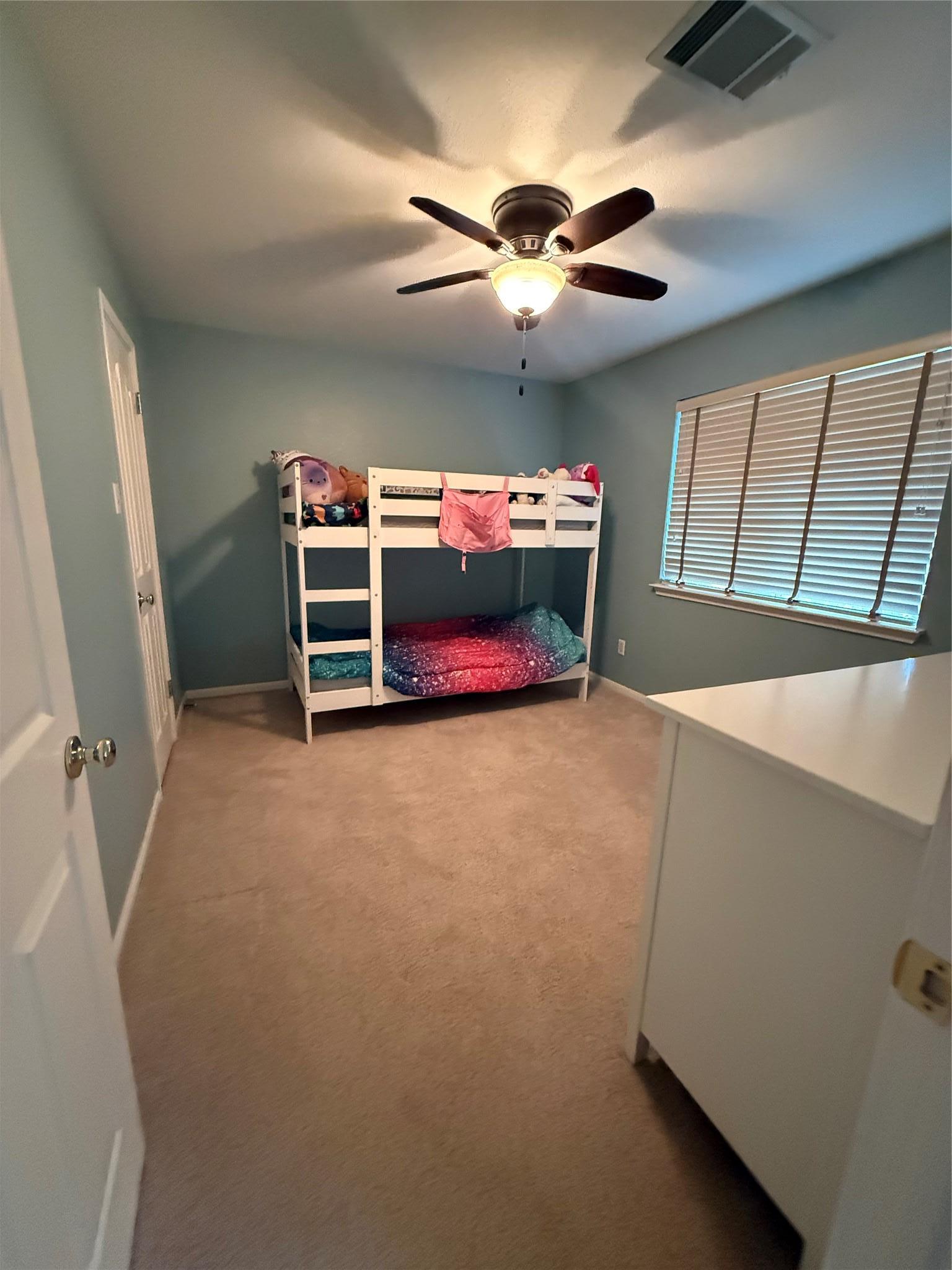 310 N Carriage Hills Drive Georgetown TX 78626