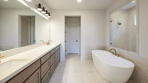 1420 White Daisy Lane Georgetown TX 78628