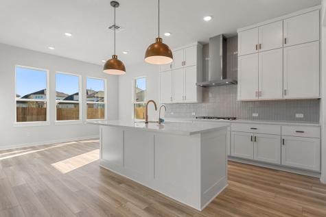 127 Sacred Fig Road Dripping Springs TX 78620