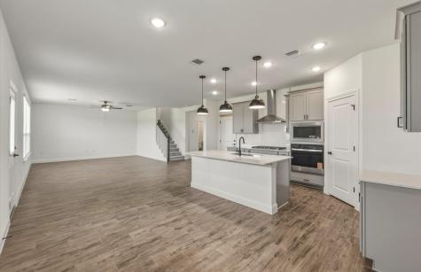13520 Cerro Castellan Trace Manor TX 78653