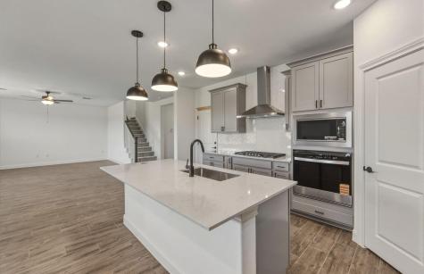 13520 Cerro Castellan Trace Manor TX 78653
