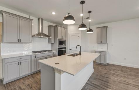 13520 Cerro Castellan Trace Manor TX 78653