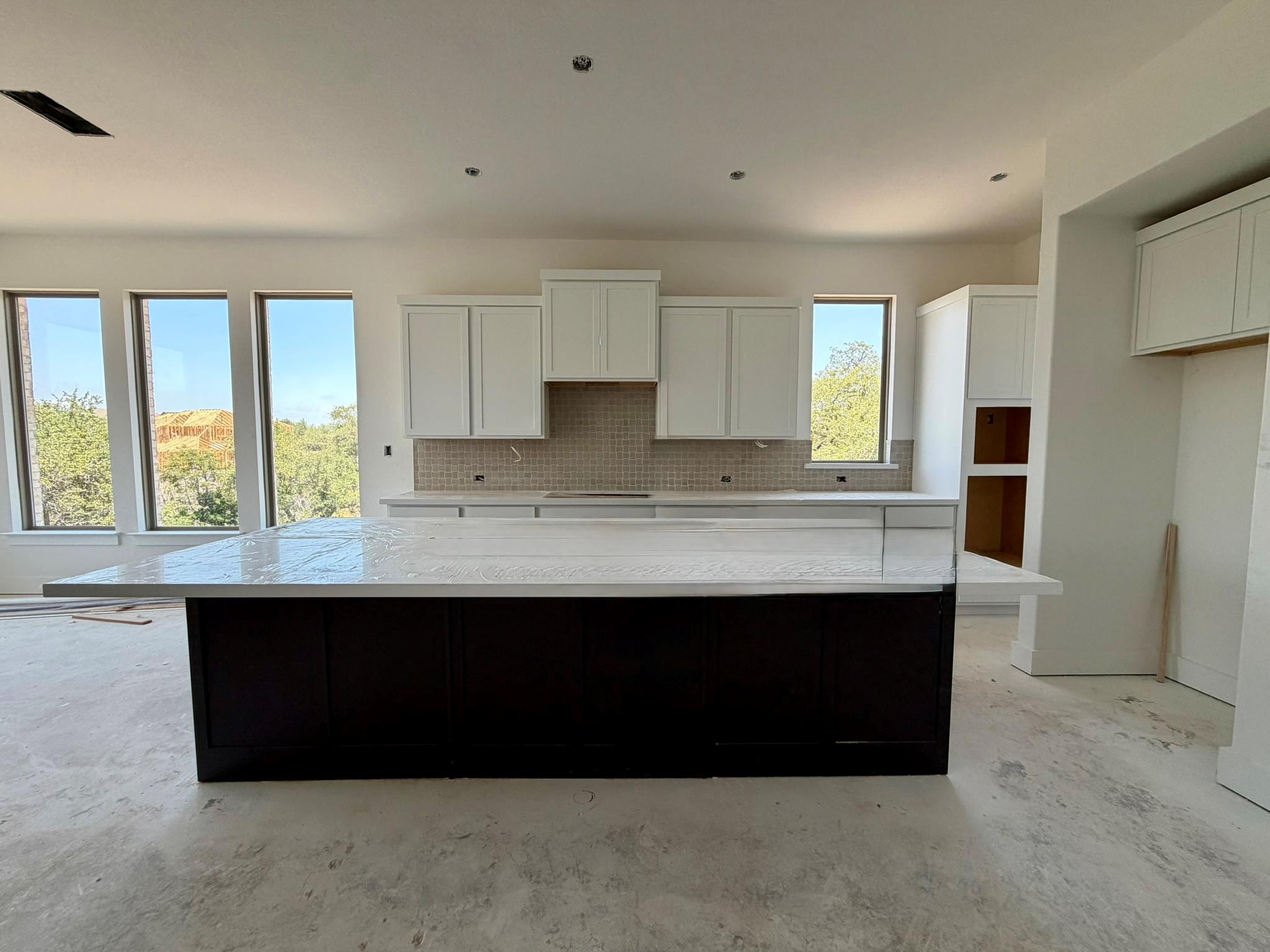 1329 White Daisy Lane Georgetown TX 78628