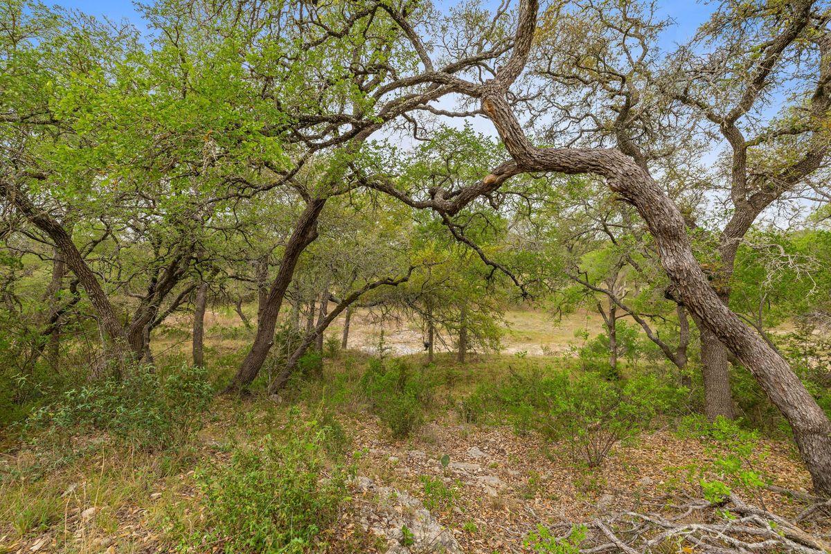 744 W Bartlett Drive Buda TX 78610