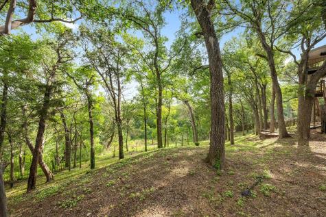 402 Bear Canyon Drive Manchaca TX 78652