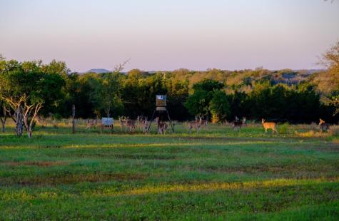 997 Big Sandy Road Johnson City TX 78636