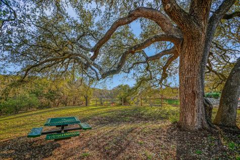 250 Brown Saddle Cove Driftwood TX 78619