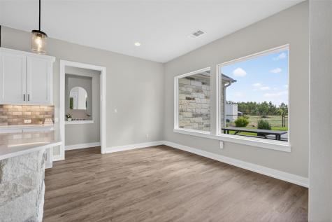 317 Esperanza Petal Pass Liberty Hill TX 78642