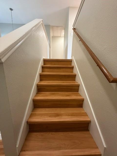 12733 Serafy Court Austin TX 78753