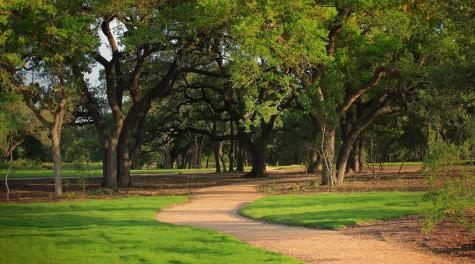 405 Texas Sky Drive Georgetown TX 78628