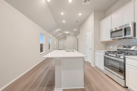 118 Big Banyan Drive Dripping Springs TX 78620