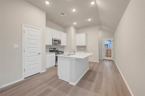 118 Big Banyan Drive Dripping Springs TX 78620