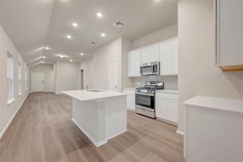 118 Big Banyan Drive Dripping Springs TX 78620