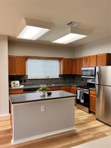 19616 San Chisolm Drive Round Rock TX 78664