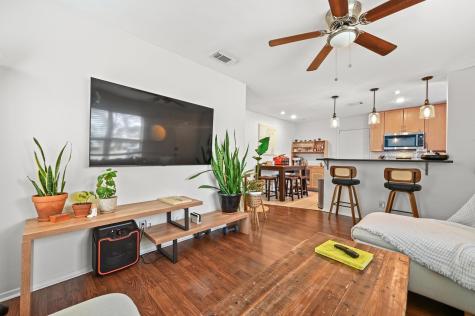 1005 Daphne Court Austin TX 78704