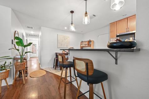 1005 Daphne Court Austin TX 78704
