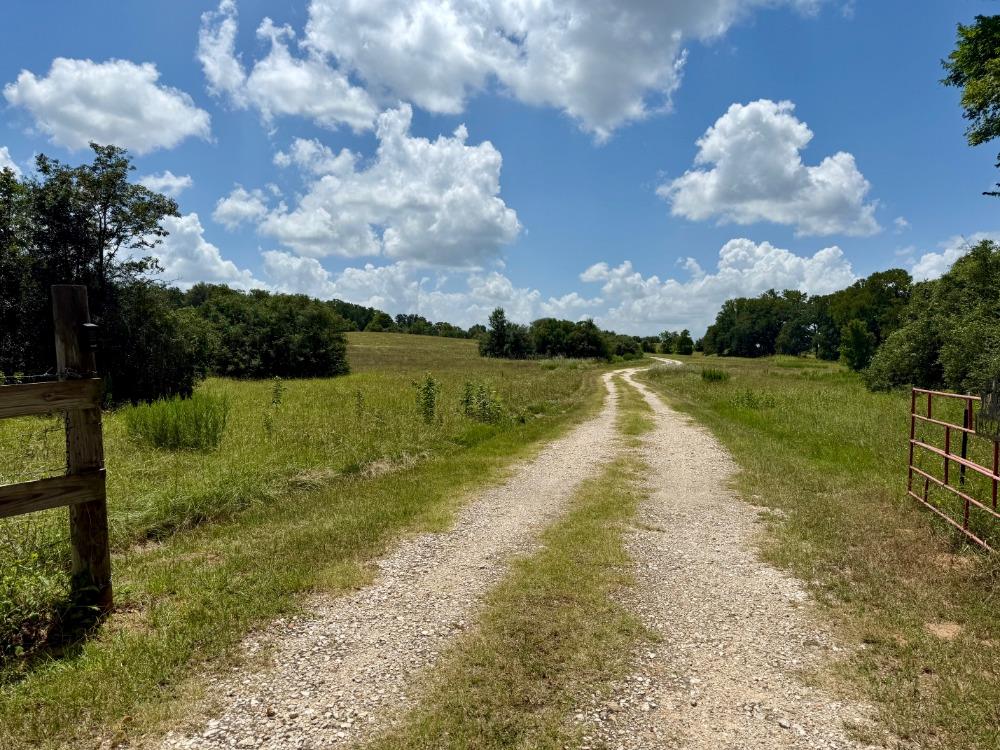 1611 W Fm 696 Lexington TX 78947