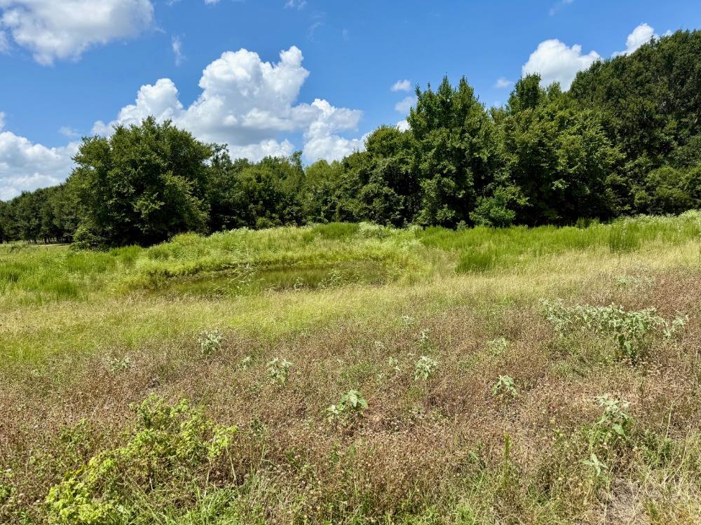 1611 W Fm 696 Lexington TX 78947
